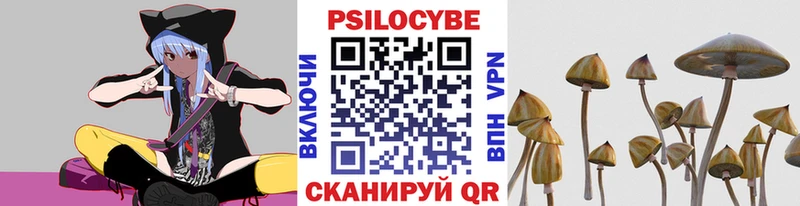 Псилоцибиновые грибы Cubensis mega сайт Оренбург купить наркотики цена