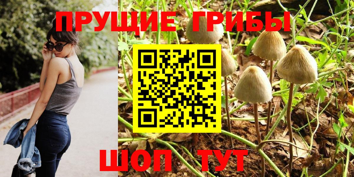Галлюциногенные грибы Psilocybe  Галлюциногенные грибы мухоморы  Оренбург  Вход с VPN 