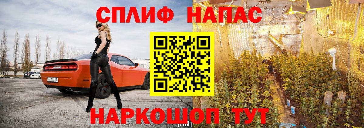 Канабис AK-47 Оренбург